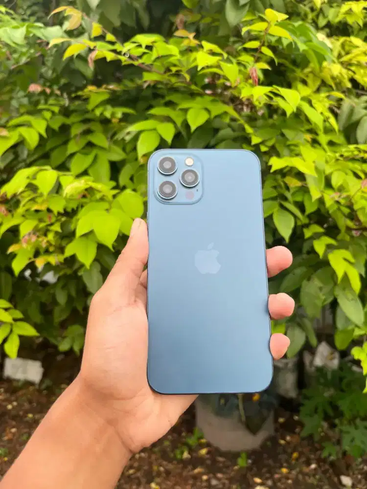 Iphone 12 PM beacukai