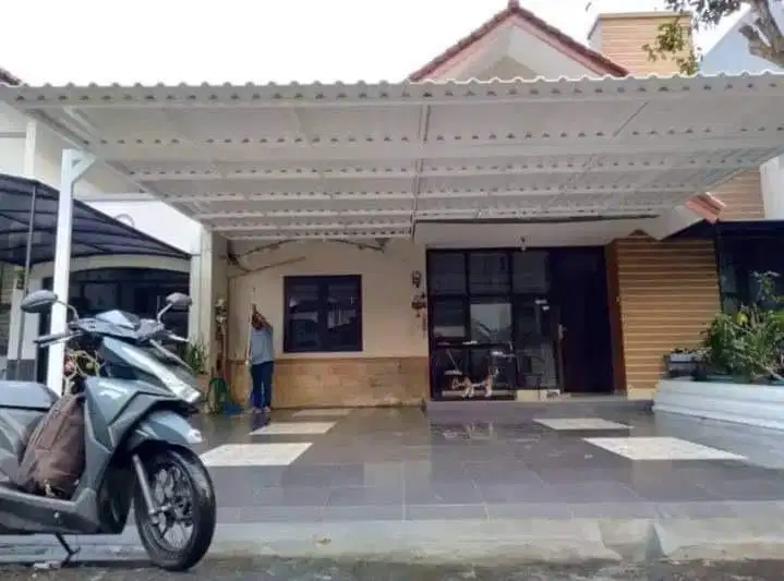 Kanopj alderon miniamlsi