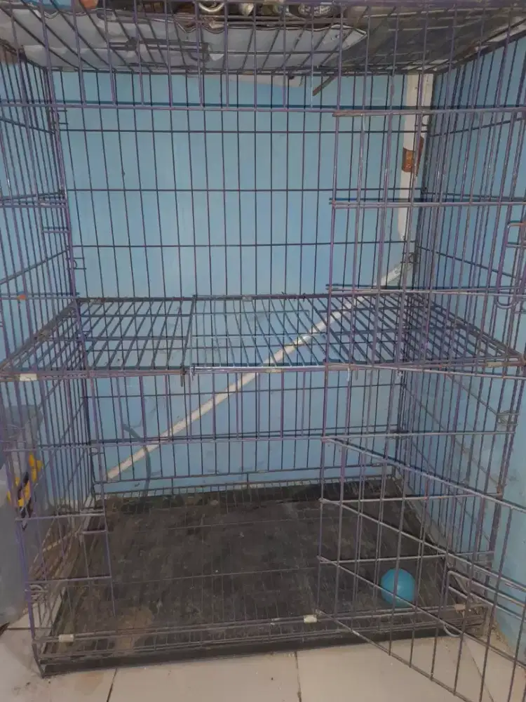 Kandang Kucing Bekas Uk. P.75 L.45 T.110