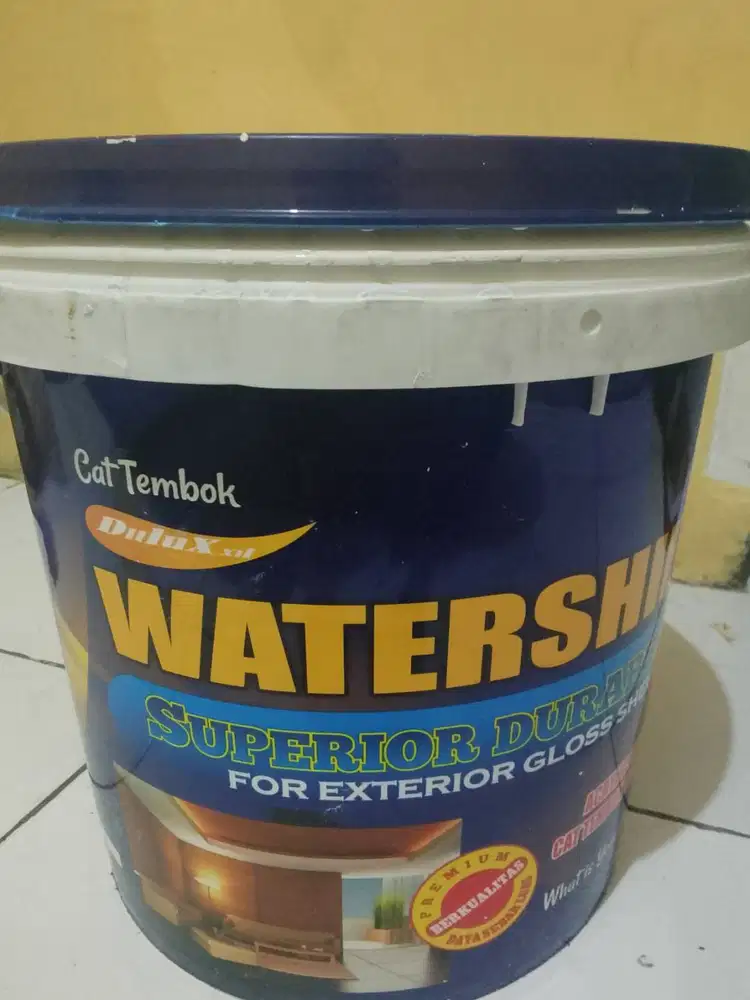 Cat Tembok DULUX White Watershield 20KG