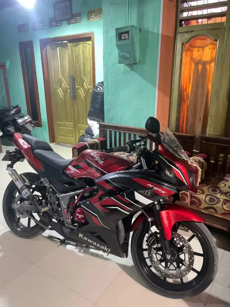 Ninja RR new 2012
