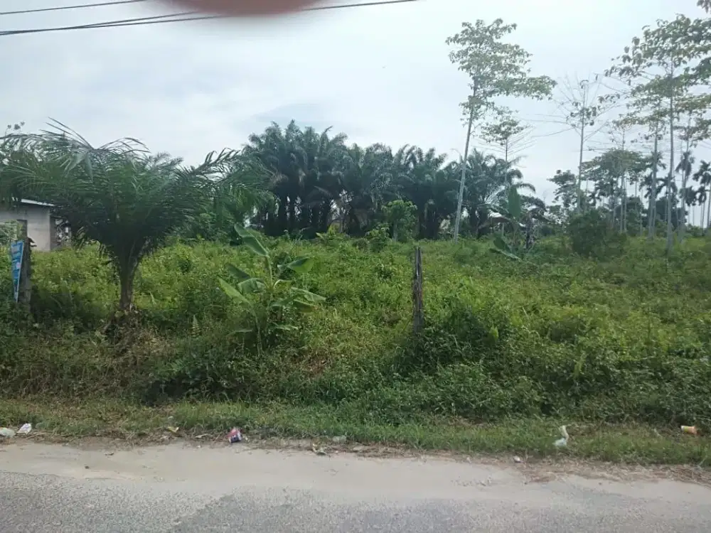 Dijual Cepat Tanah Dijalan Pembina Rumbai Pekanbaru Riau