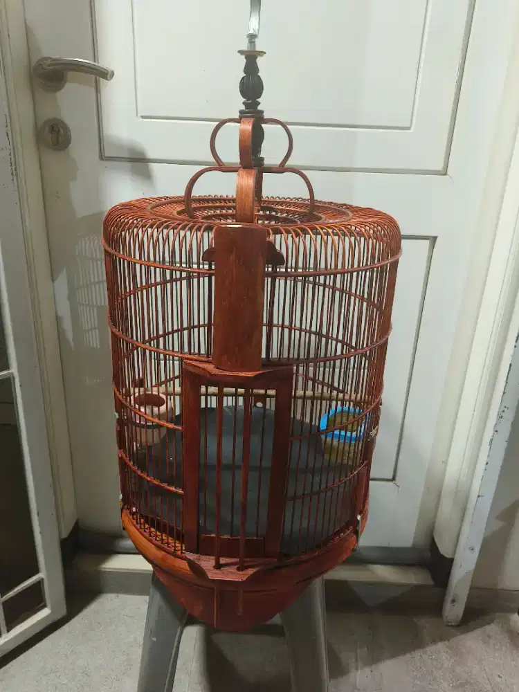Kandang cungko DM 38cm