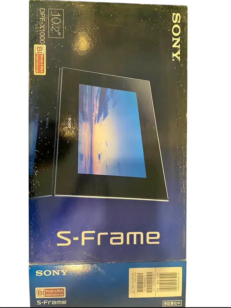 SONY S-frame DPF X1000