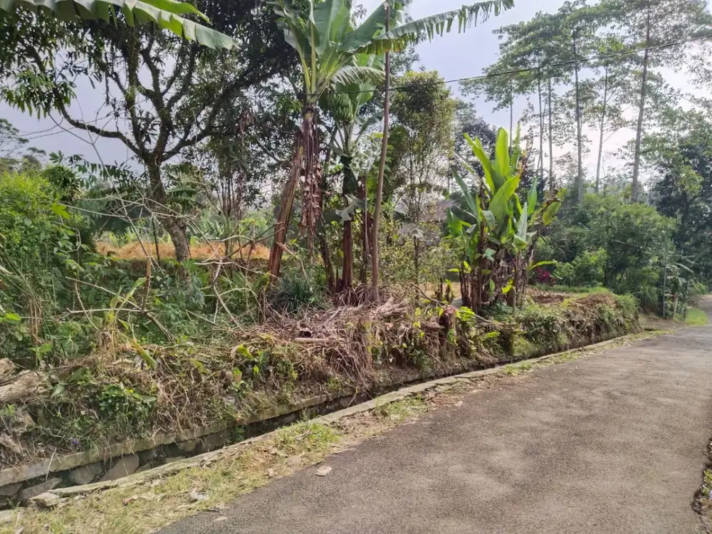 DIJUAL TANAH SAWAH ADA TANAH DARATNYA STRATEGIS SUASANA ASRI