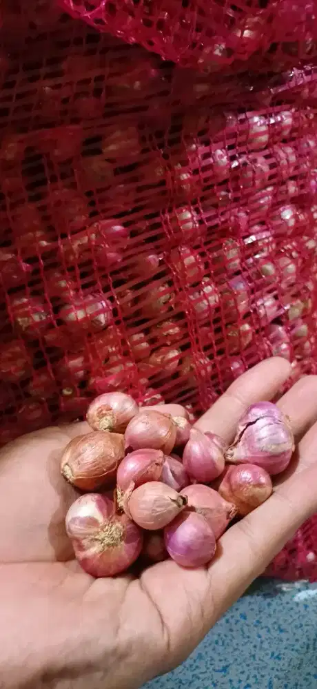 Bawang Merah Bawang Putih