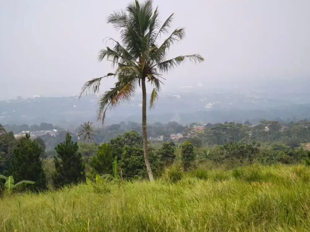 DIJUAL TANAH DATAR PANORAMA INDAH KE GUNUNG & KOTA BOGOR DI CIJERUK