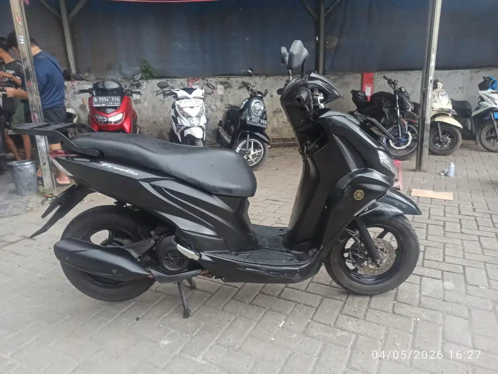 Freego 2019. Ss lengkap