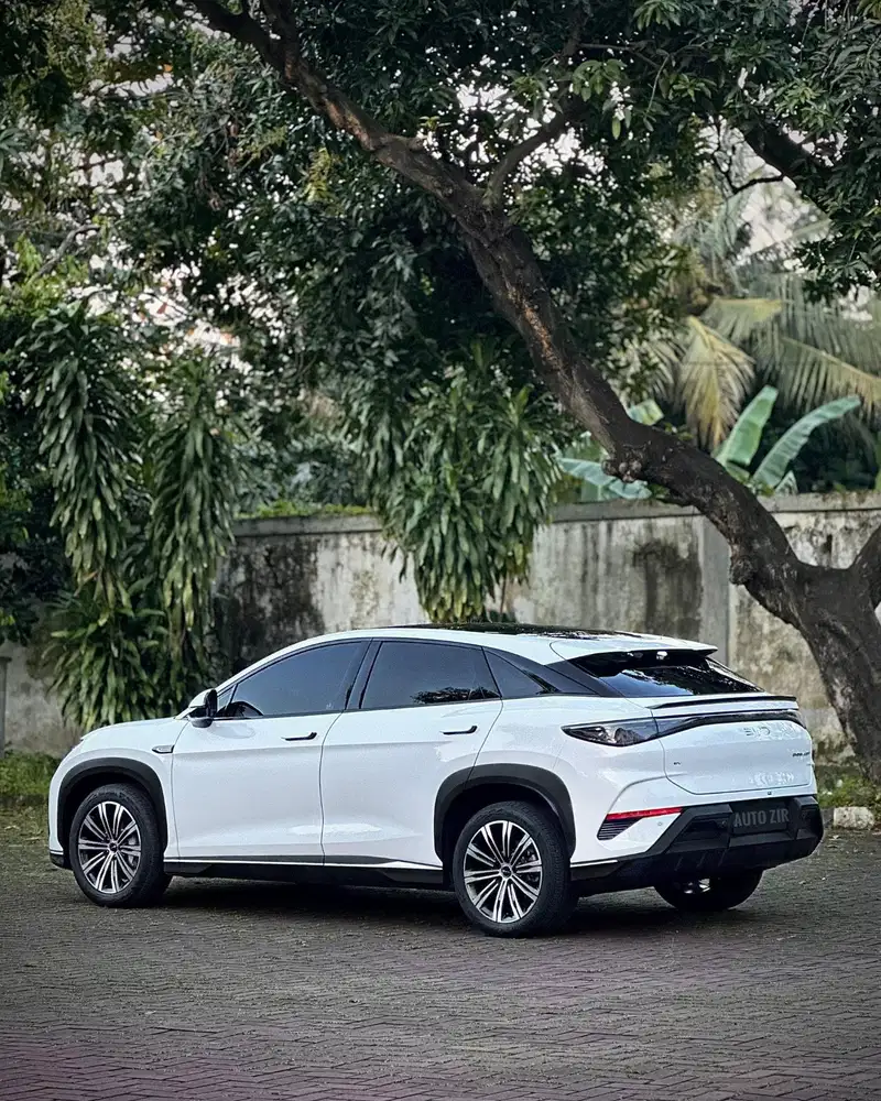 CashCreditSama BYD Sealion 2025 Premium