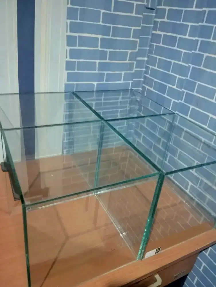 Aquarium Ikan Cupang