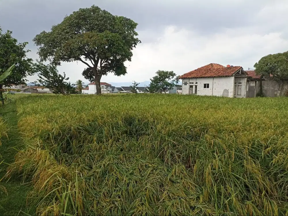 Jual Tanah SHM Strategis 2060 m² Nagrak Cianjur Dekat Perumahan