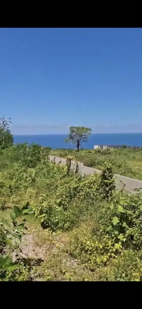 Profit Opportunities From Sea View Land