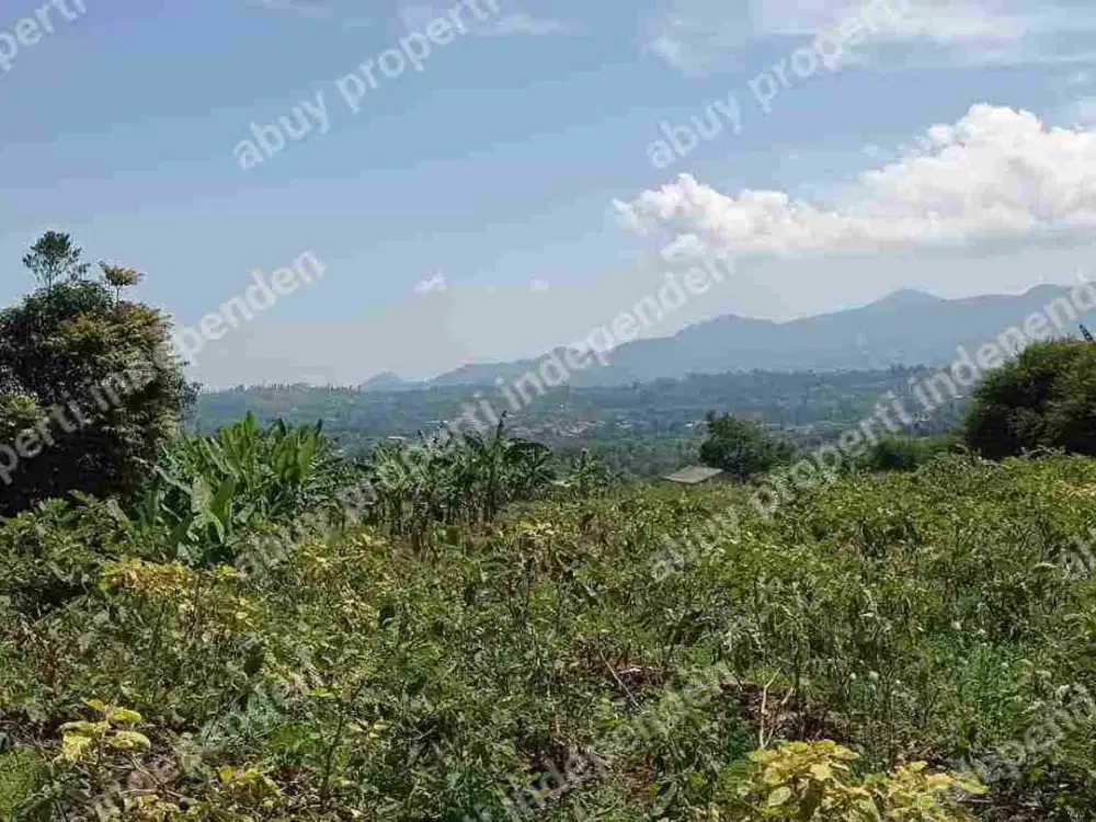 lahan tanah kosong di pasir muncang sukaresmi megamendung