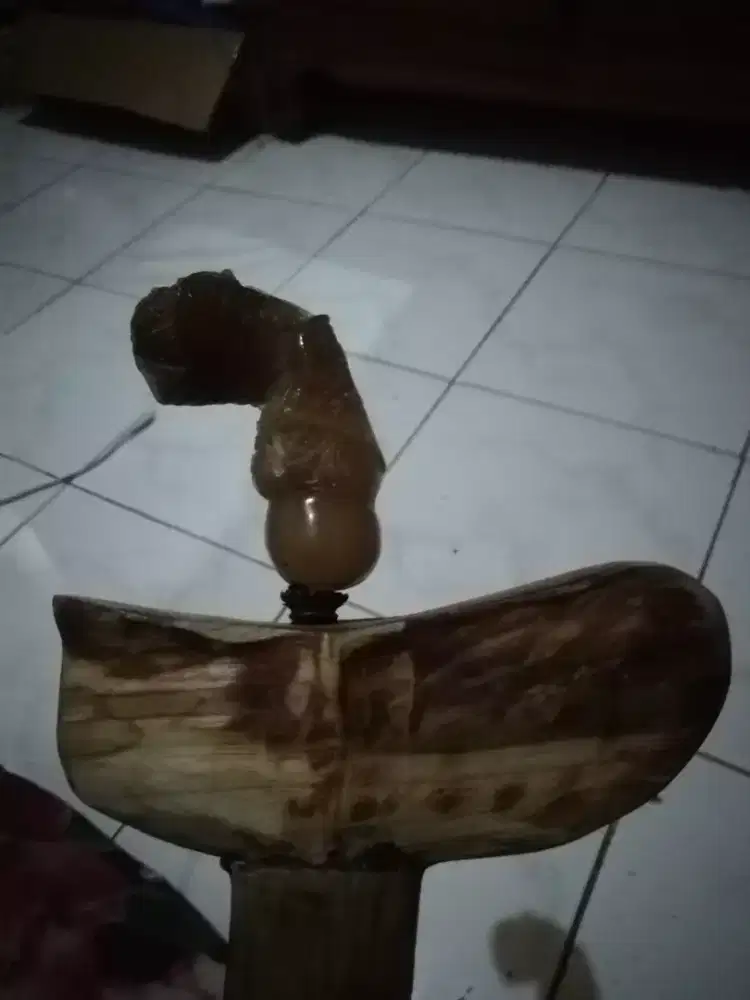 Dijual betok sombro