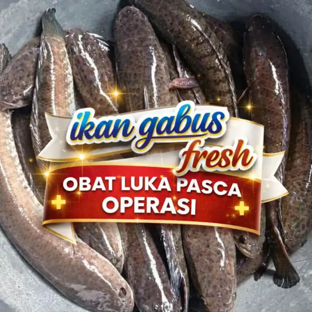 Ikan gabus segar (pesan antar)