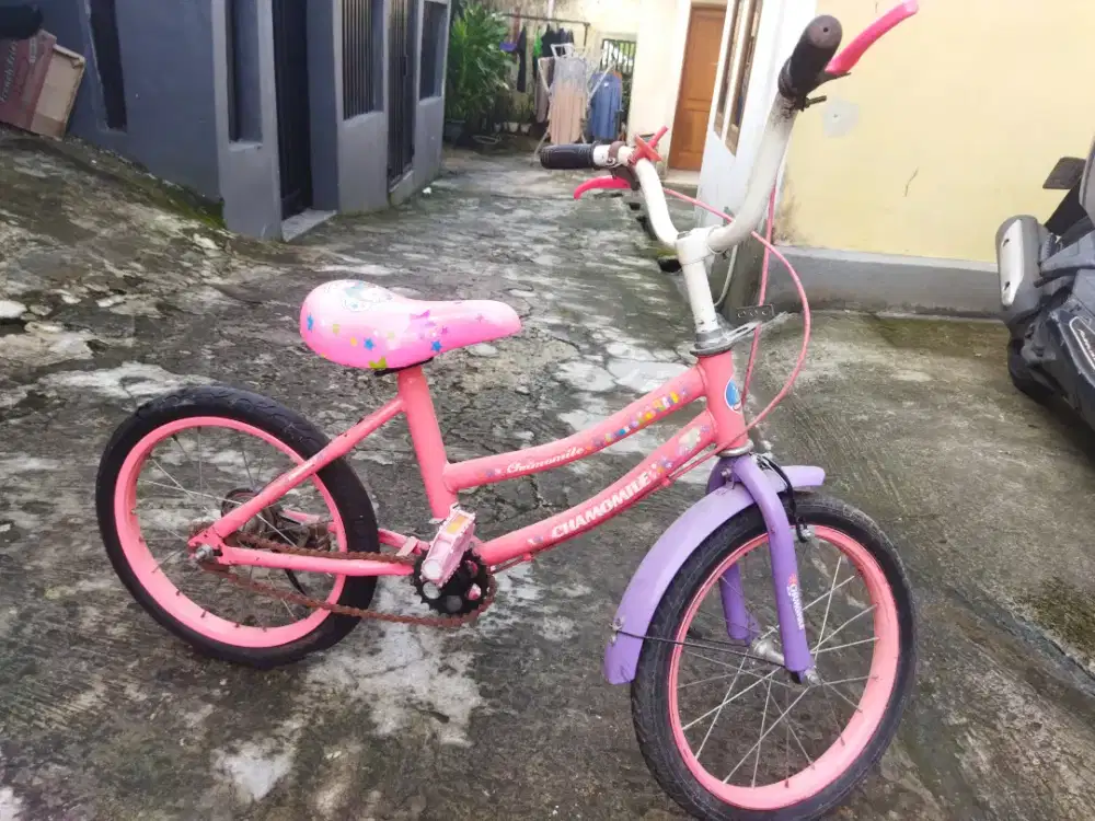 Sepeda Anak Bekas