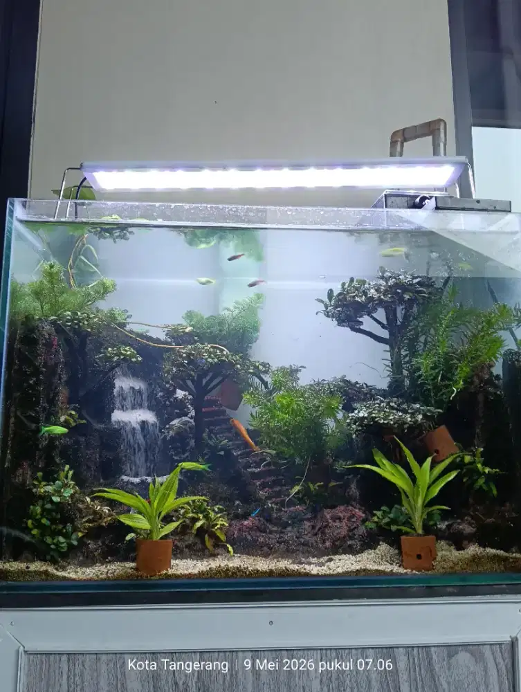 Aquarium Aquascape Fullset