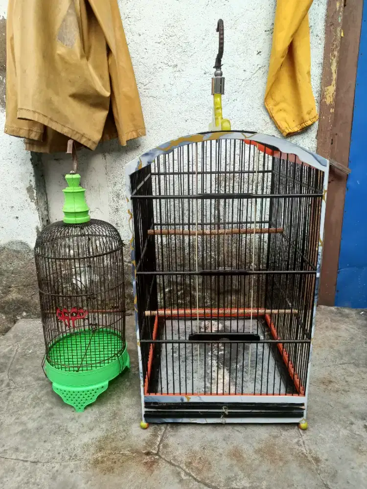 Sangkar Decal Dan Helopet