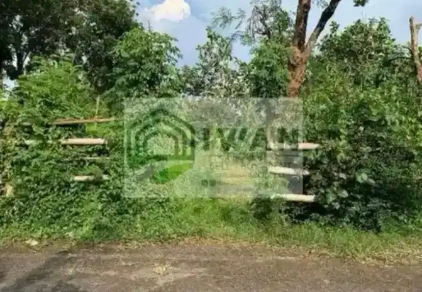 Tanah Pekarangan Muka 50m Dengan View Sawah Dekat Jalan Raya PU