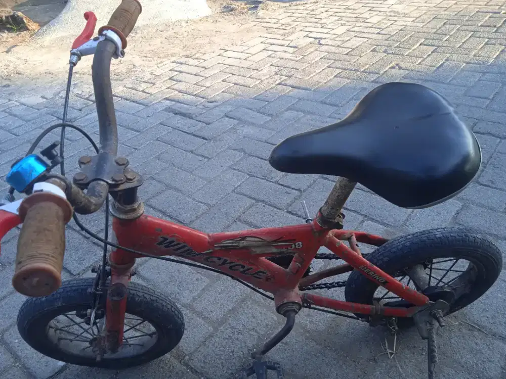 Sepeda anak tk hingga sd