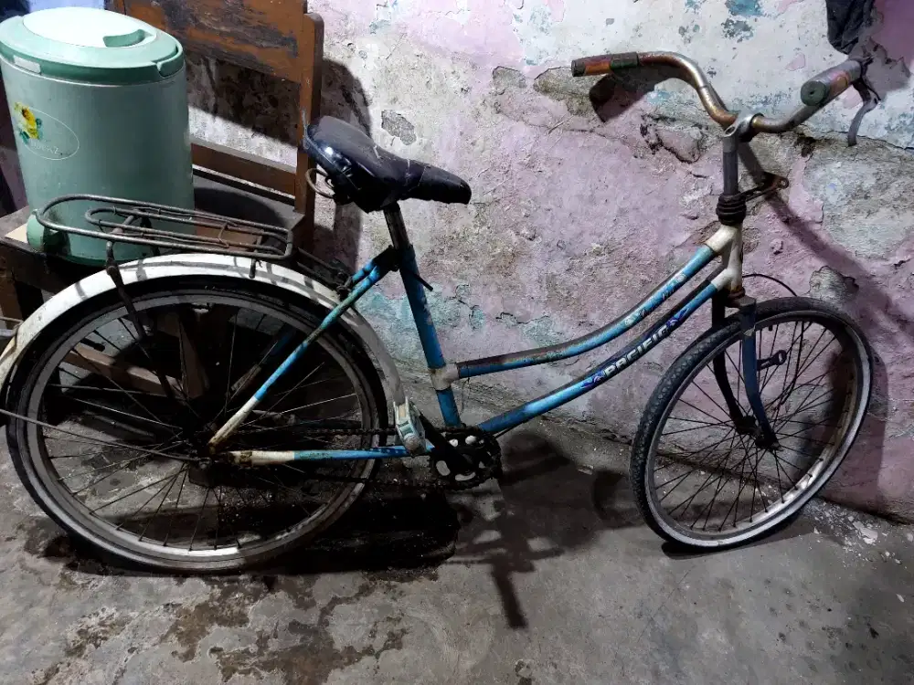 Sepeda ukuran 24 bekas