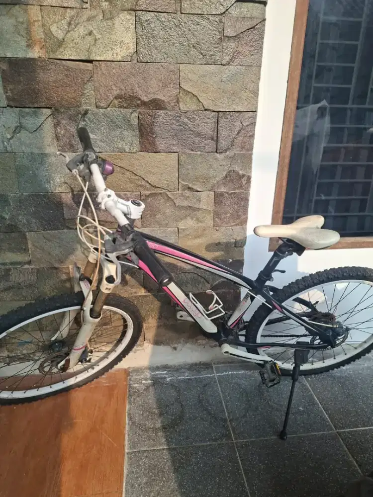 Polygon Cleo 3.0 Original Limited Edition