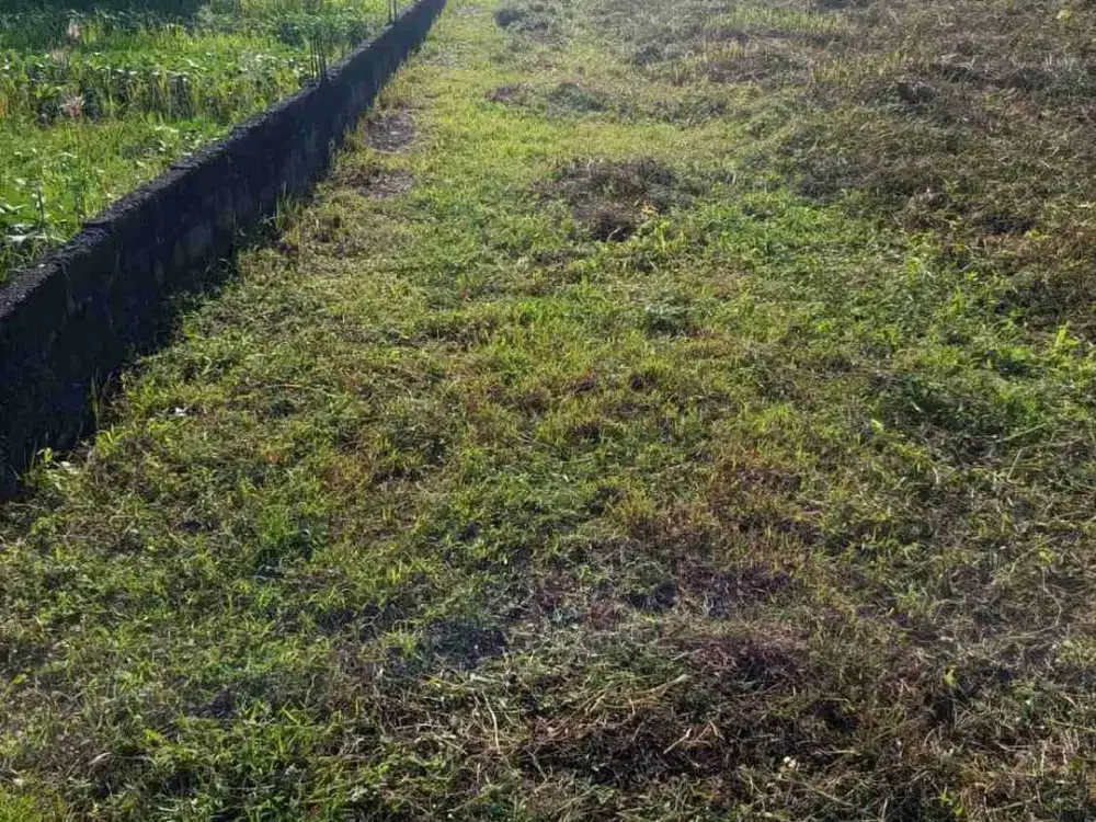 Tanah 200m Dari Pantai Cemagi Canggu. Milik Sendiri.