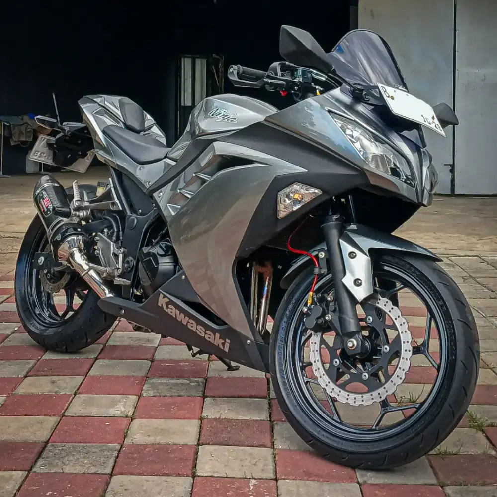 Kawasaki Ninja 250FI 2013 Low Km