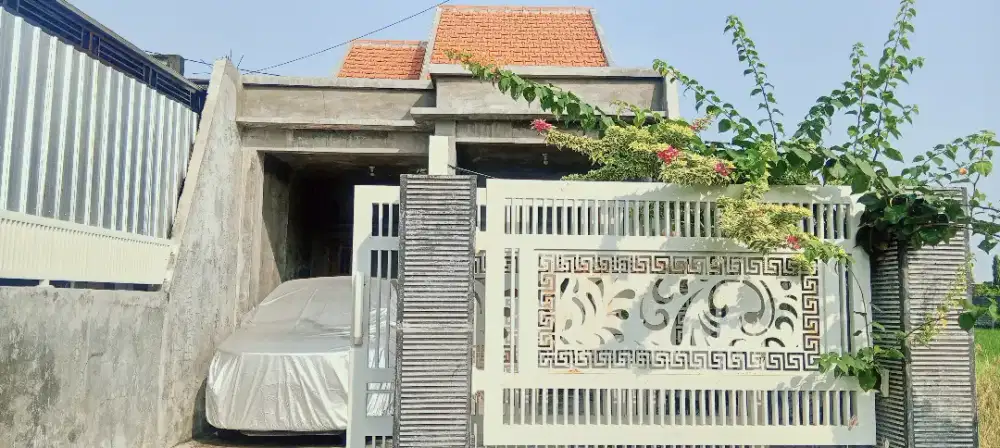 Dijual rumah murah,luas 5m×55m. Dsn.Sawahan Cerme