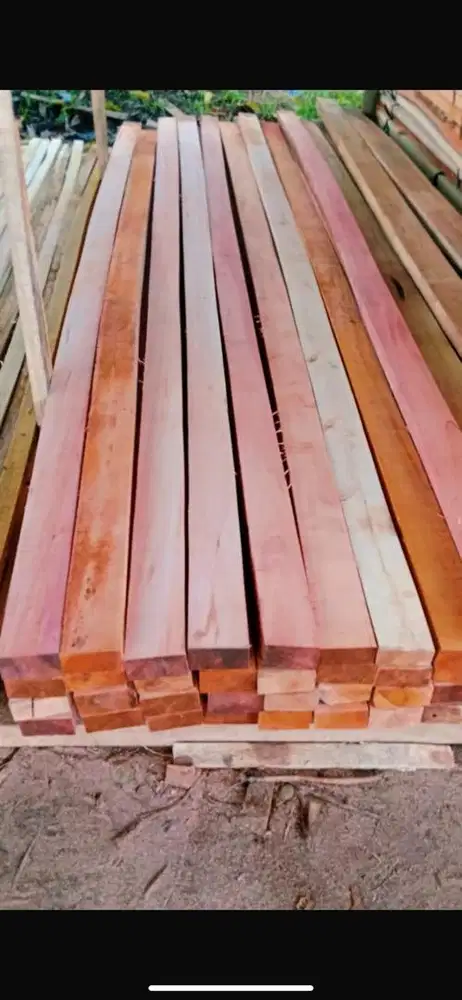 Kayu abasiyah per kubik