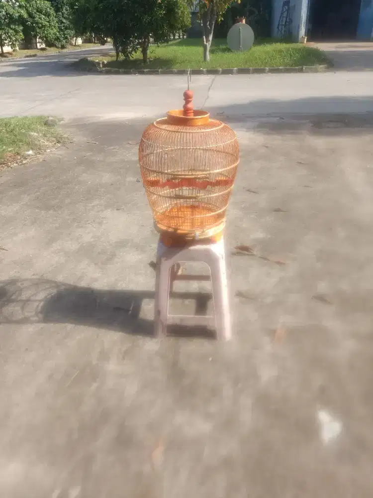 Kandang perkutut tebok lepas