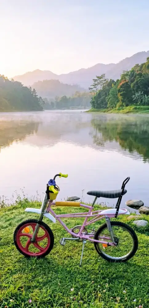 Sepeda Bmx Motobike