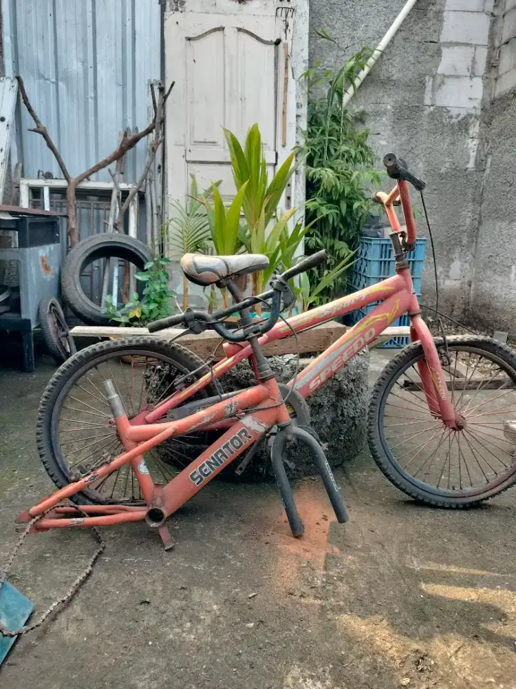 2 Bangkai sepeda , tanggung dan kecil