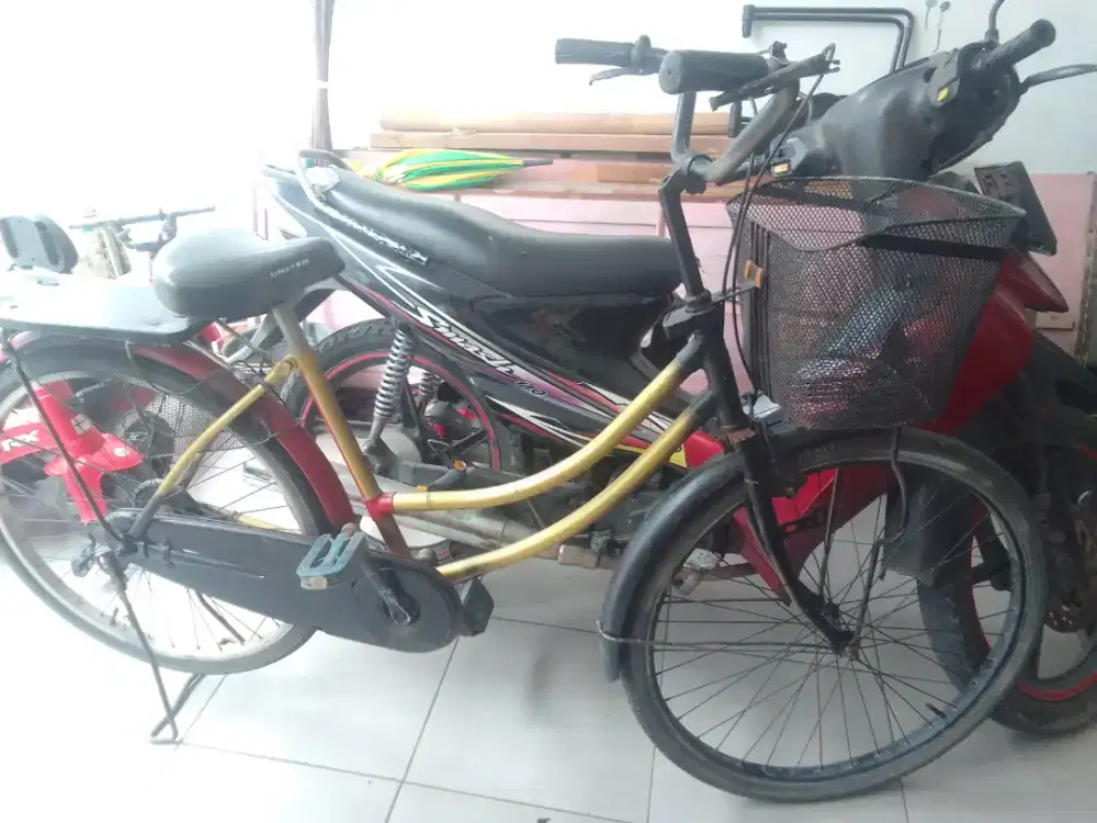 Sepeda mini bekas normal