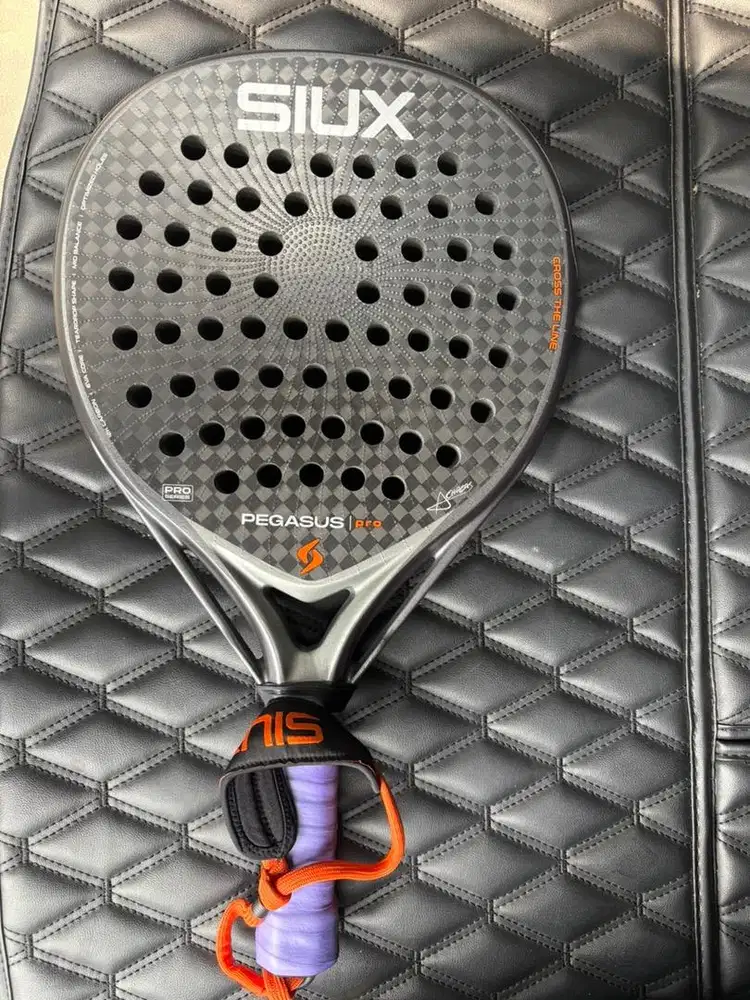 SIUX PEGASUS PRO 2026