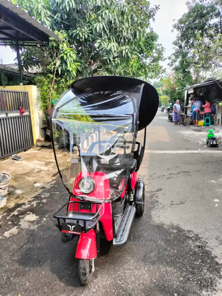 Sepeda listrik Roda tiga U-winfly Maleo n-2