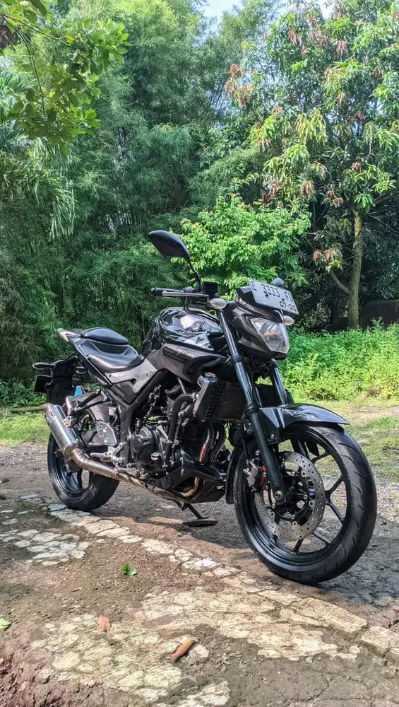 Yamaha MT 25 2015 mulus