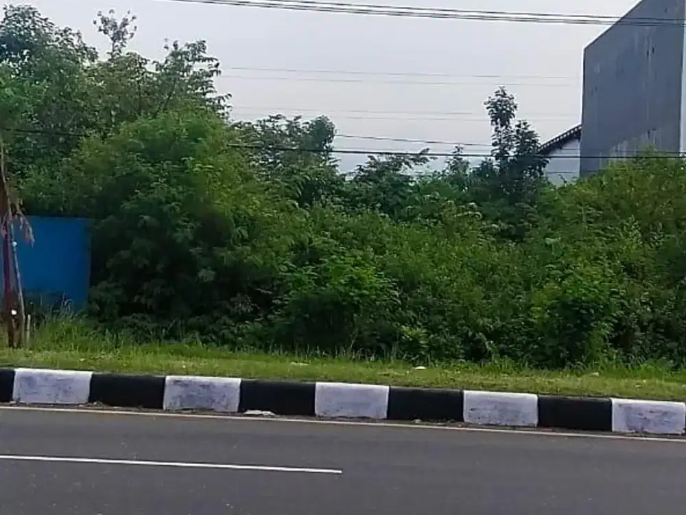 Tanah Luas di Bypass Padang Dekat Pelabuhan Teluk Bayur