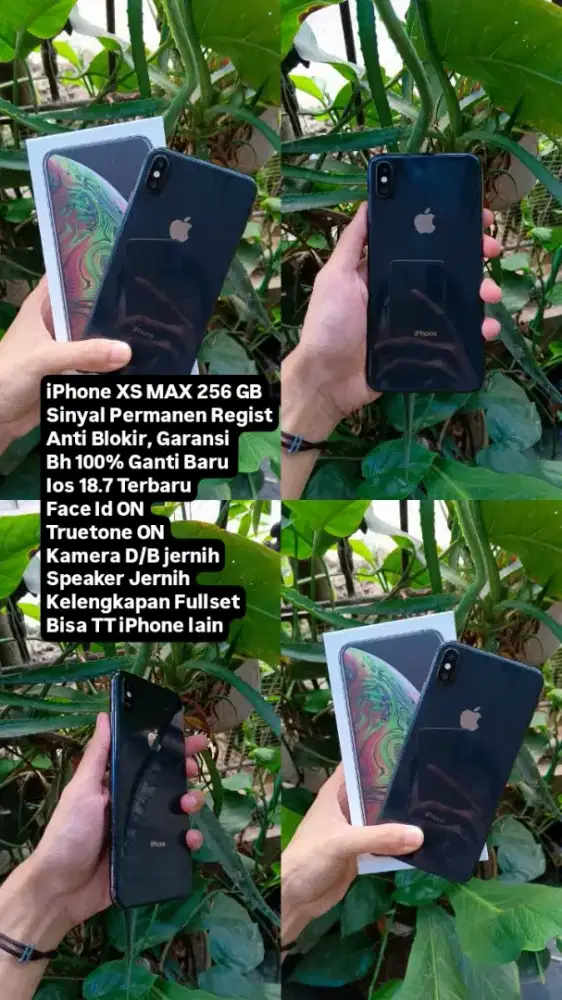 iPhone XS Max 256 GB All Operator