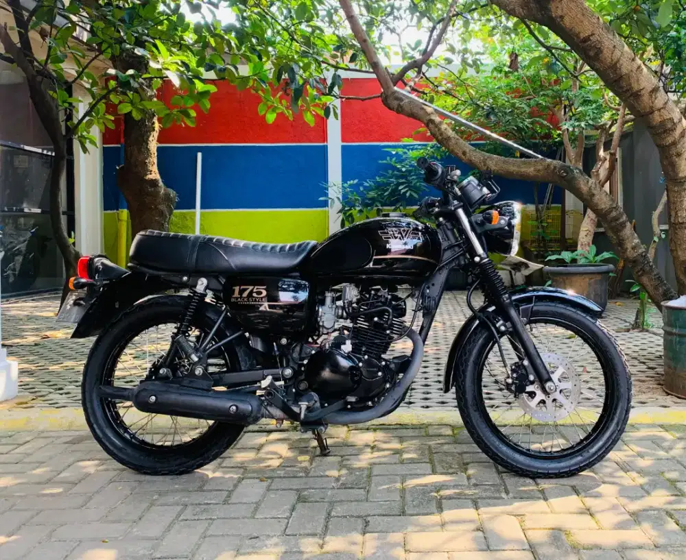 Kawasaki w175 se