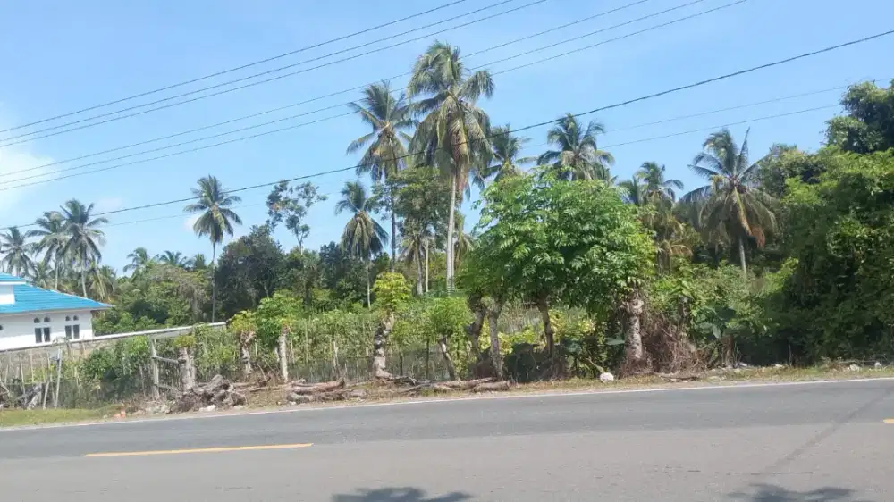 tanah dijual, di pinggir jalan utama