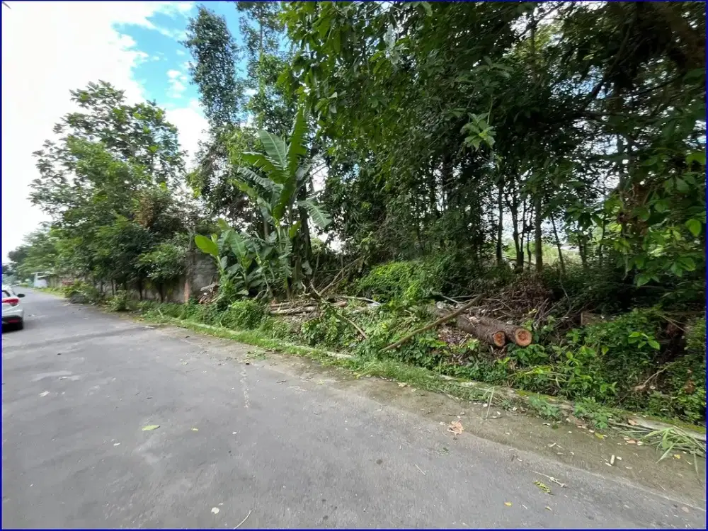 Dekat Candi Kedulan Tanah Yogyakarta di Kalasan