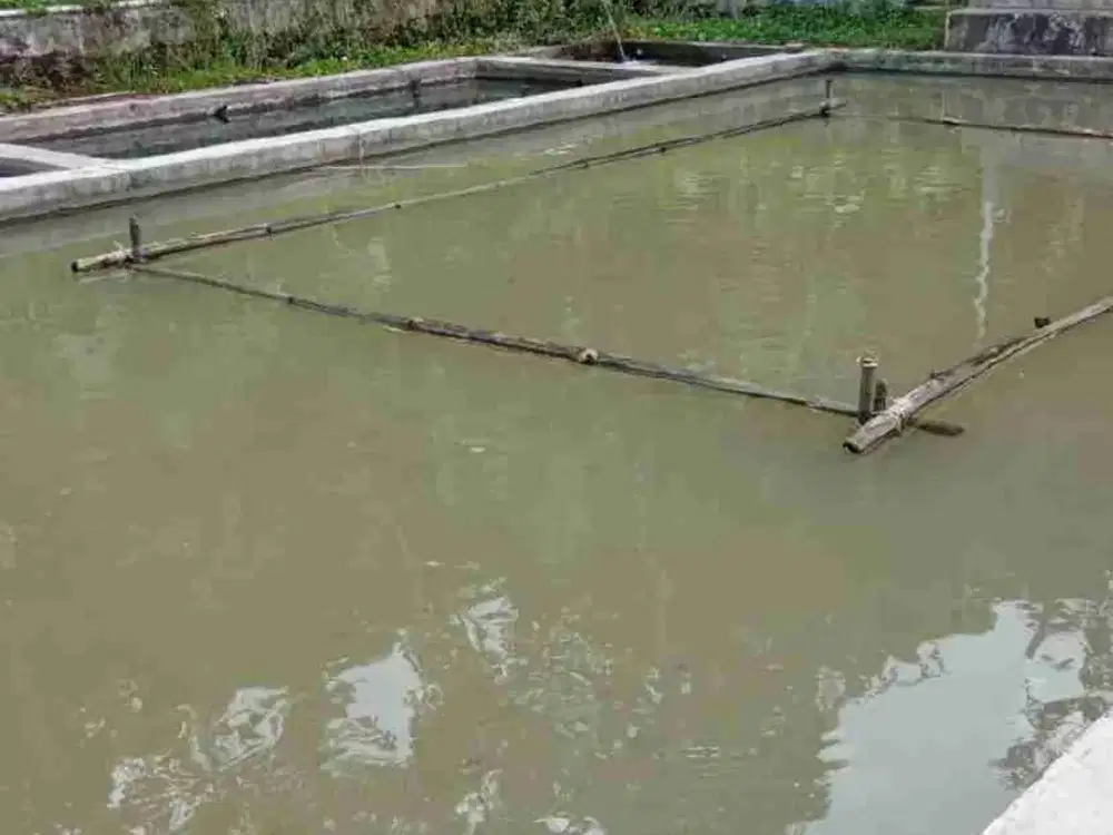 Tanah kolam kebun ada aliran anak sungai