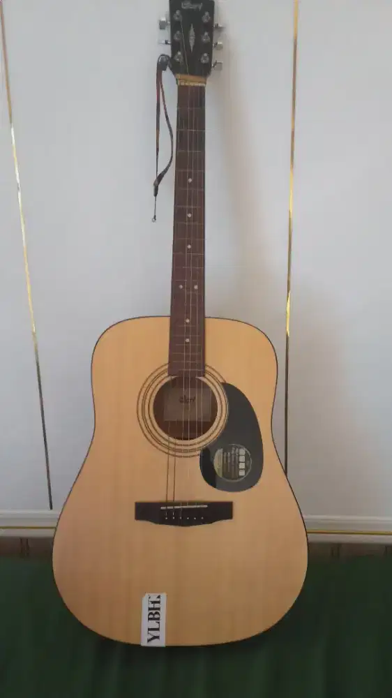 jual gitar kesayangan, gitar cort