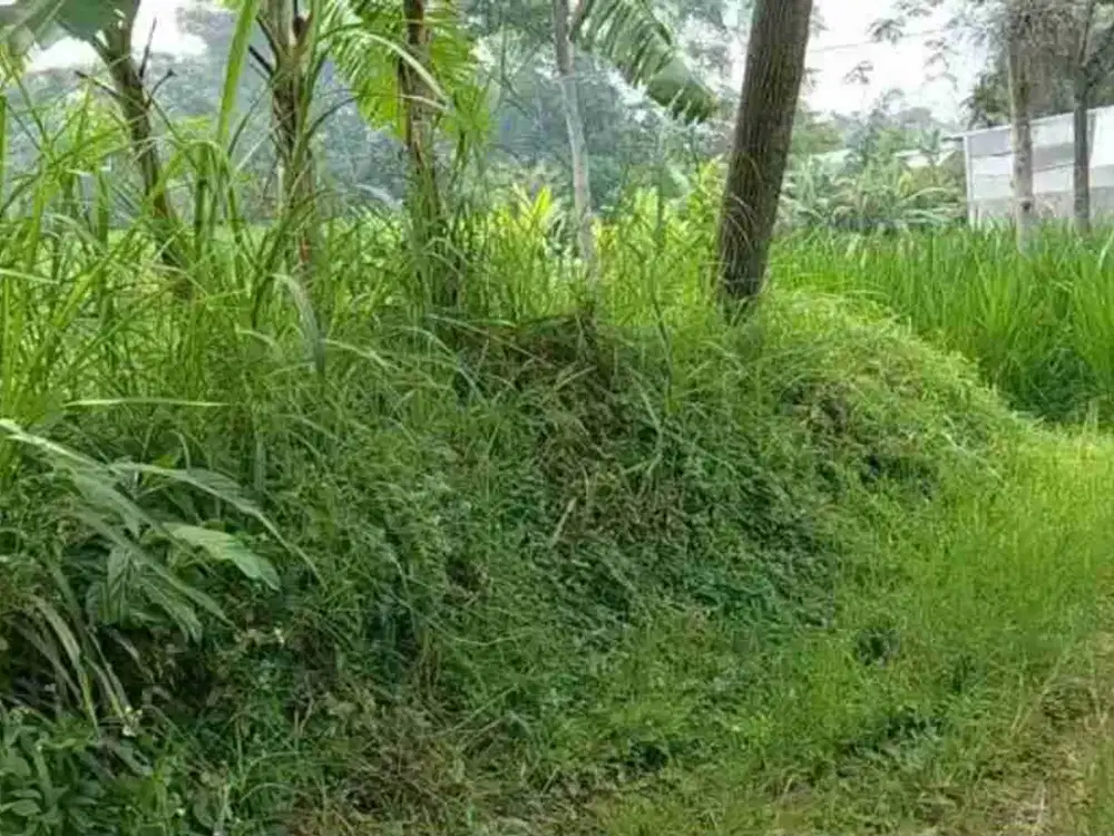 Tanah Kavling SHM Batu Jawa Timur