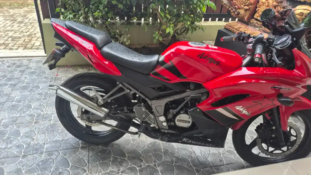 Kawasaki Ninja RR