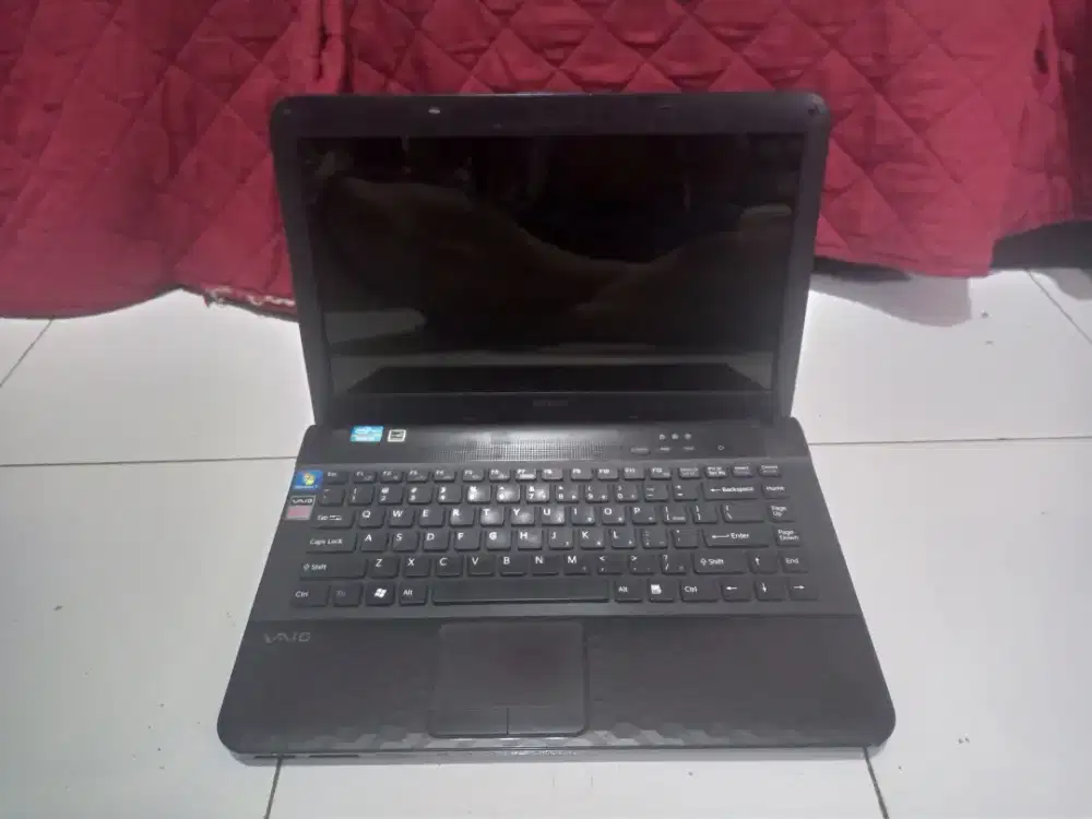 Sony Vaio minus hardisk