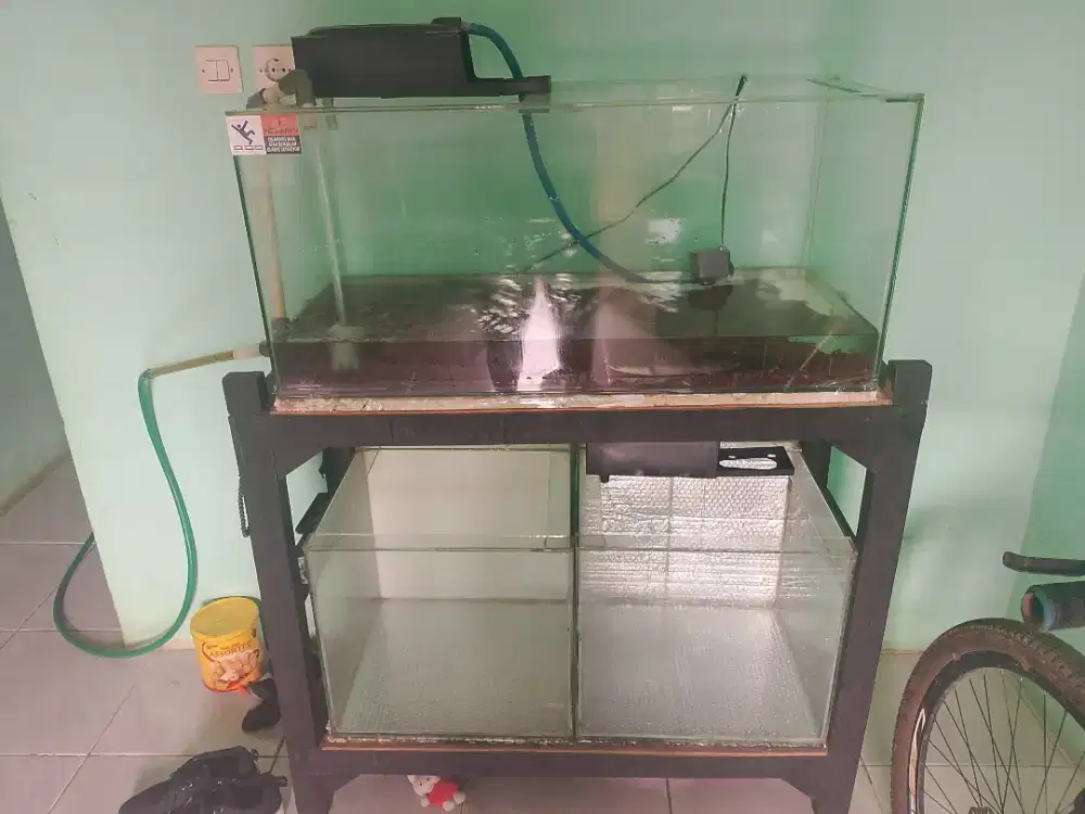 Akuarium/Aquarium ikan louhan chana arwana