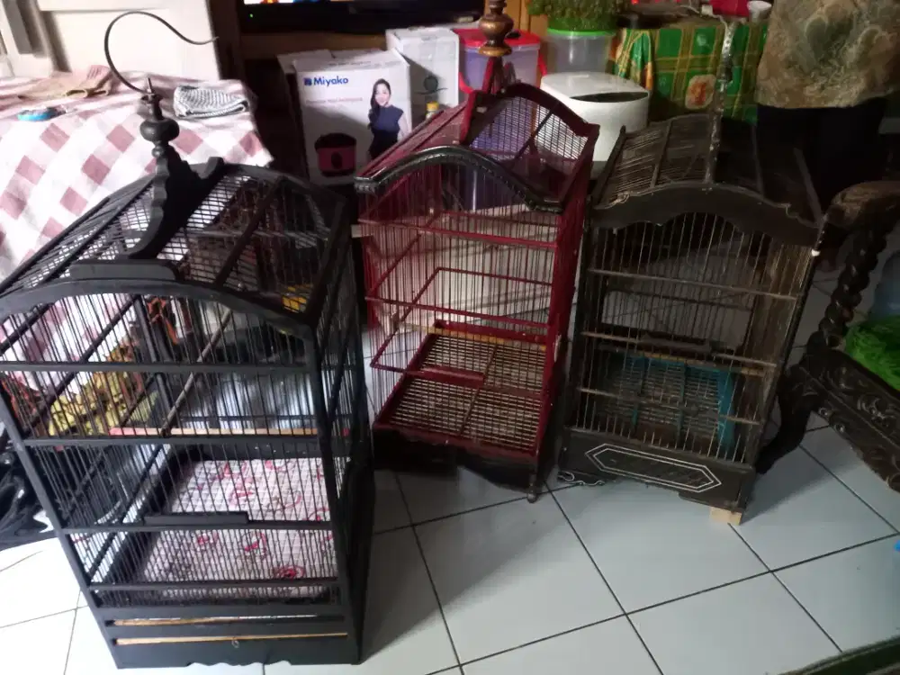 Borongan kandang no 2, 3 kandang