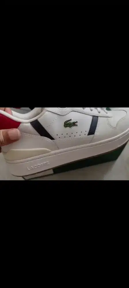 Sepatu lacoste original